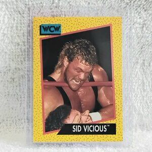 5/$20 Excellent 1991 Impel Sid Vicious WCW Wrestling Card 29!!